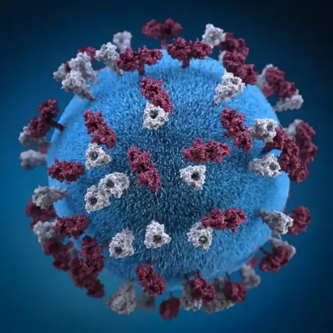 A 3D model of a virus molecule that floats around your home looking to make you sick.